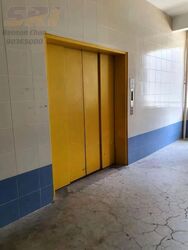 Perfect One (D13), Warehouse #639394031